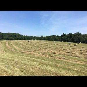 Meet your Posher, Dakota